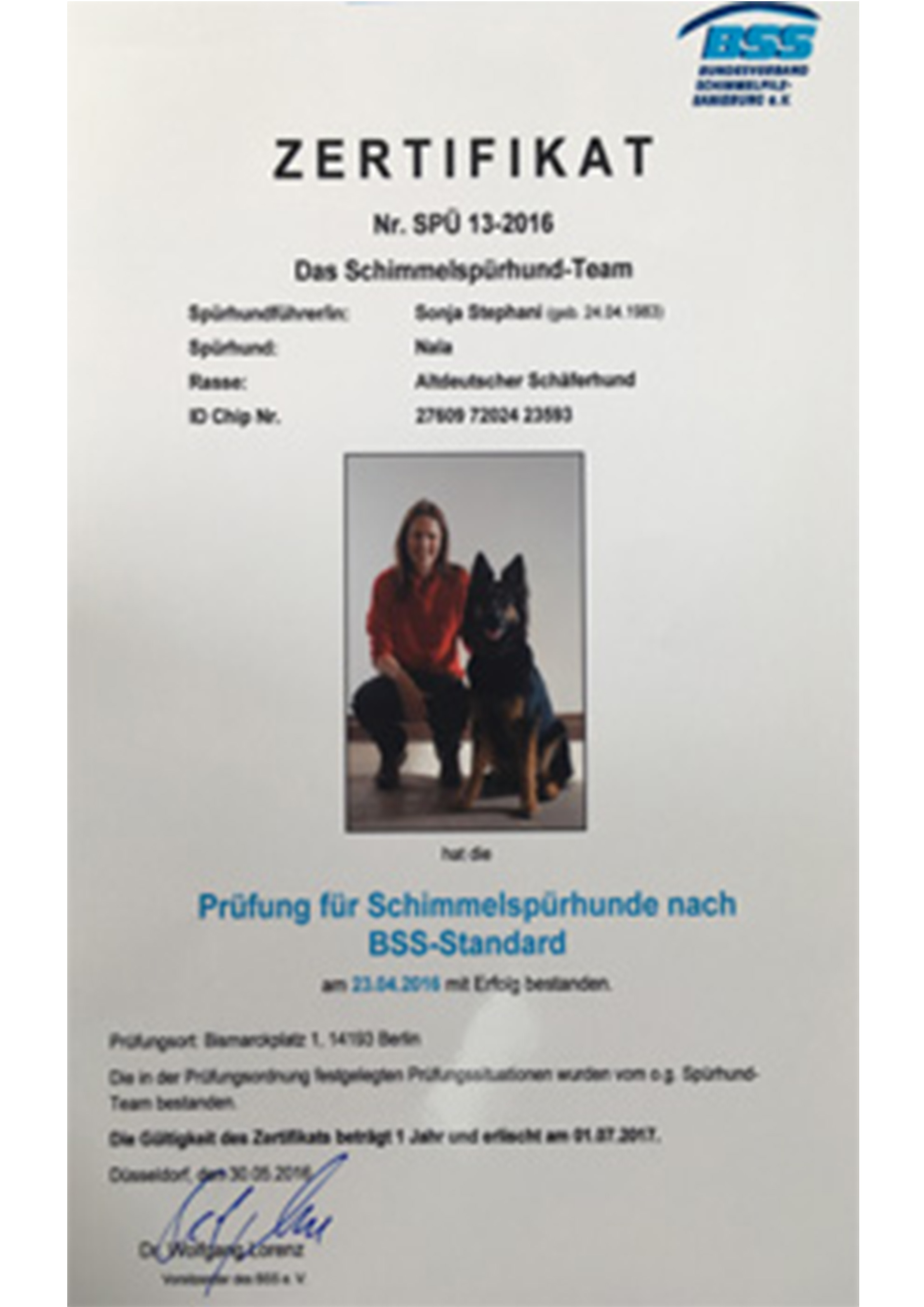 Schimmelsuchhund Bayern - TÜV geprüfte Beratung – Schimmelsuchhund Bayern