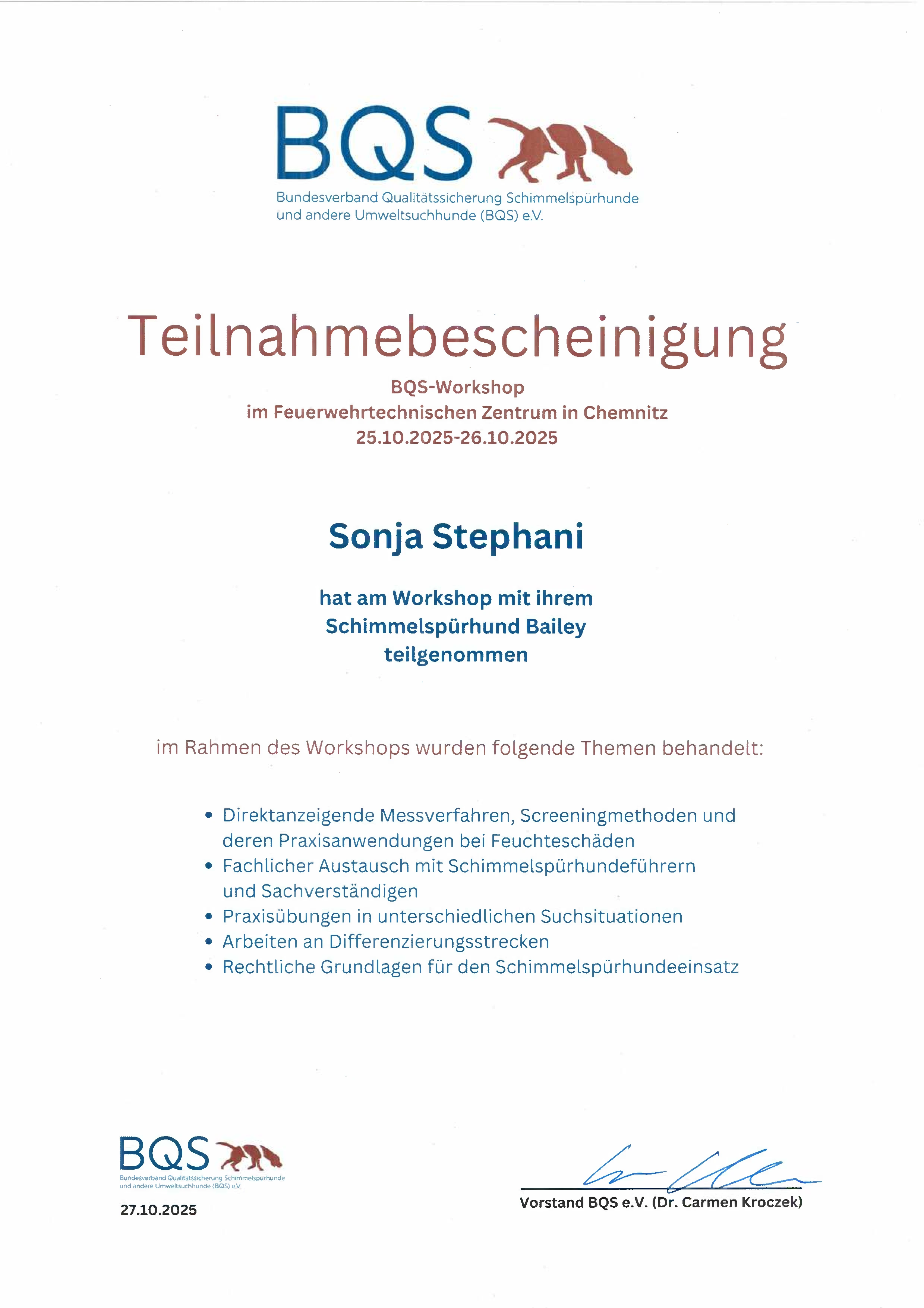 Teilnahmebescheinigung BQS Workshop Oktober 2025