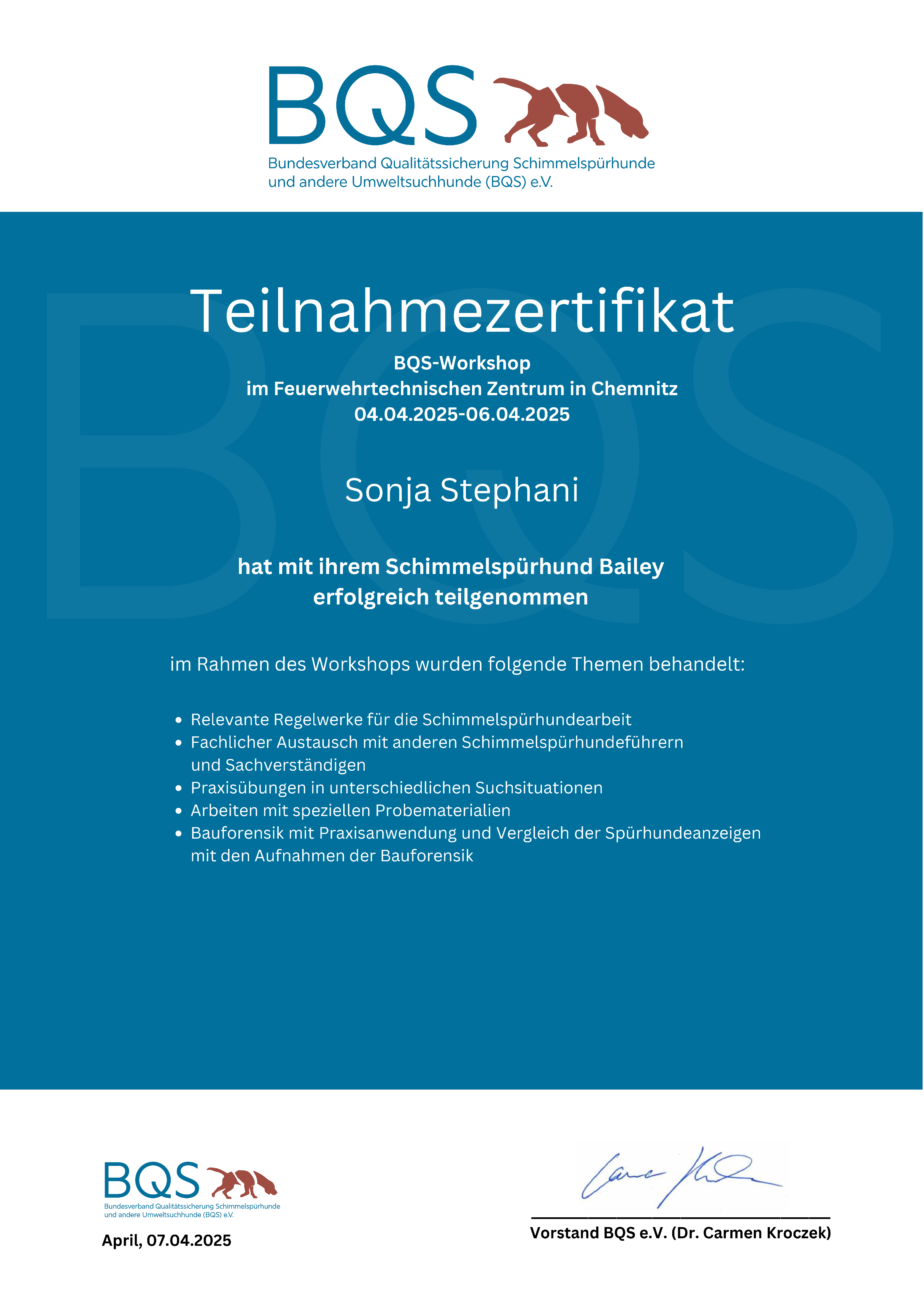 Zertifikat Teilnahme BQS Workshop Chemnitz 2025